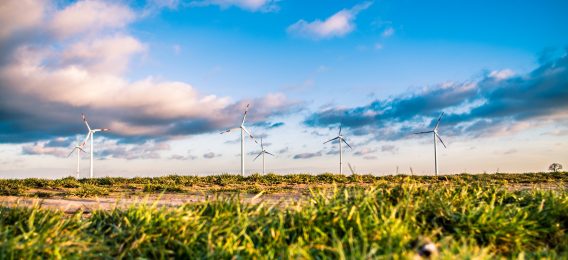 Energia eólica no Brasil