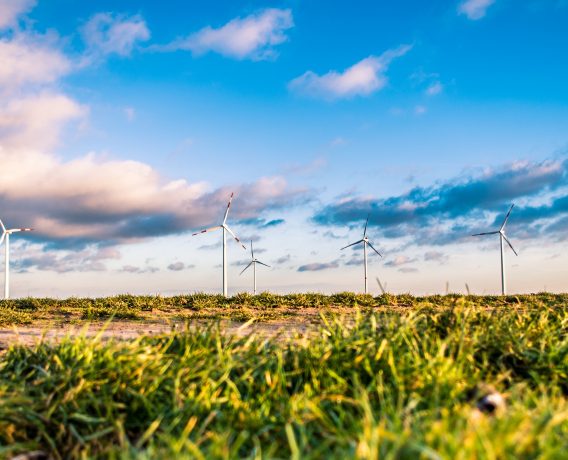 Energia eólica no Brasil